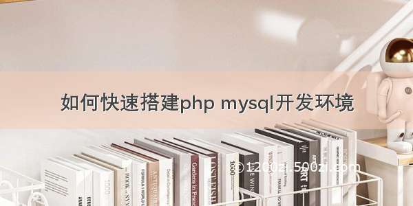 如何快速搭建php mysql开发环境