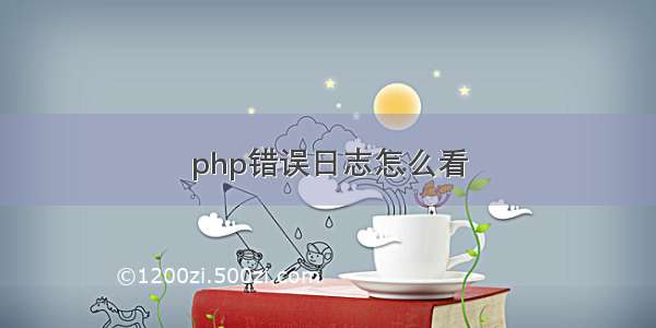 php错误日志怎么看