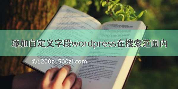 添加自定义字段wordpress在搜索范围内