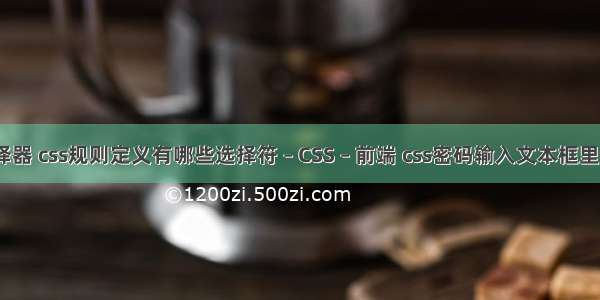 css基础之选择器 css规则定义有哪些选择符 – CSS – 前端 css密码输入文本框里面字符不掩码