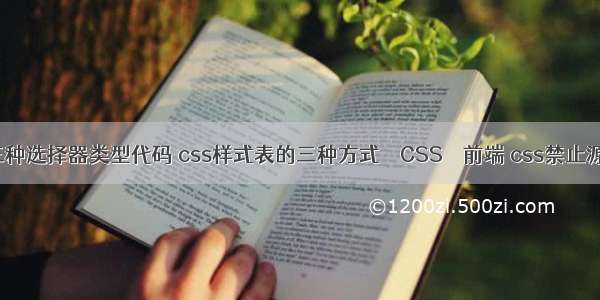 css三种选择器类型代码 css样式表的三种方式 – CSS – 前端 css禁止源代码