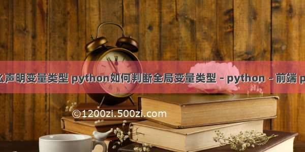 python怎么声明变量类型 python如何判断全局变量类型 – python – 前端 python 北京