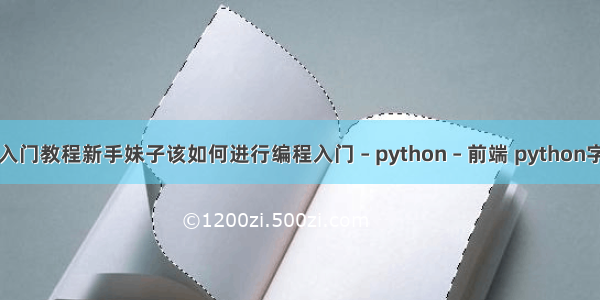 编程教学入门教程新手妹子该如何进行编程入门 – python – 前端 python字典 value
