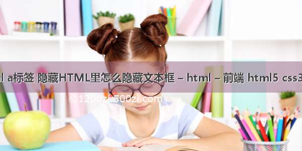 html a标签 隐藏HTML里怎么隐藏文本框 – html – 前端 html5 css3菜单