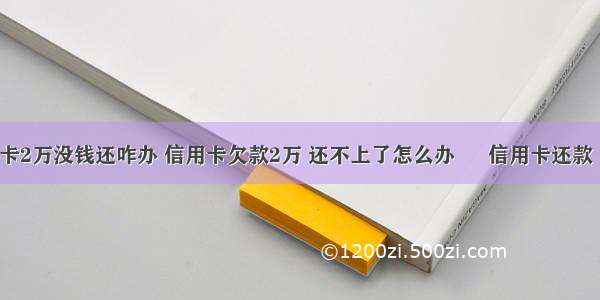 欠信用卡2万没钱还咋办 信用卡欠款2万 还不上了怎么办 – 信用卡还款 – 前端