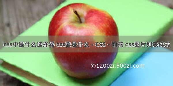 css中是什么选择器 css器是什么 – CSS – 前端 css图片列表样式