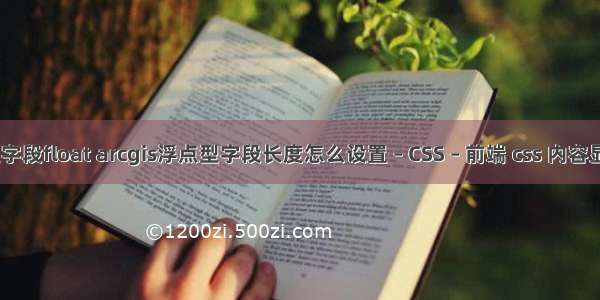 gis属性字段float arcgis浮点型字段长度怎么设置 – CSS – 前端 css 内容显示不全