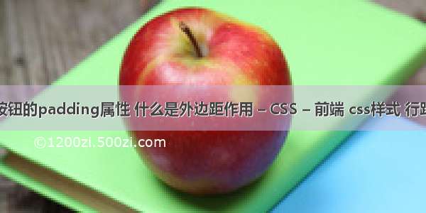 按钮的padding属性 什么是外边距作用 – CSS – 前端 css样式 行距