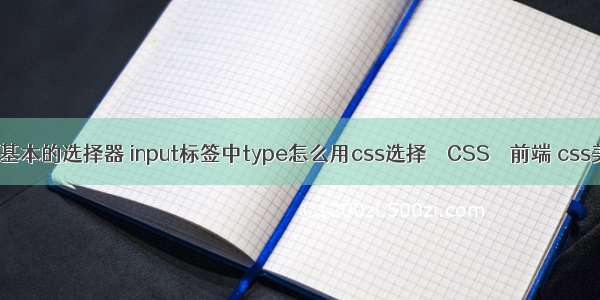 css三种基本的选择器 input标签中type怎么用css选择 – CSS – 前端 css美化网站