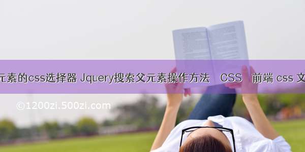 jquery获取元素的css选择器 Jquery搜索父元素操作方法 – CSS – 前端 css 文字描边代码