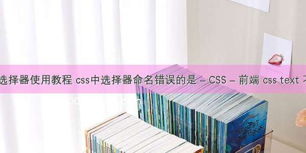 cssweb选择器使用教程 css中选择器命名错误的是 – CSS – 前端 css text 不能输入