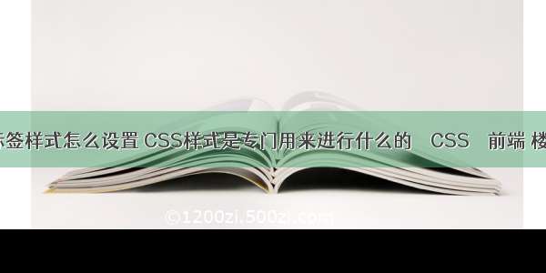 css选择器标签样式怎么设置 CSS样式是专门用来进行什么的 – CSS – 前端 楼宇 字体 css