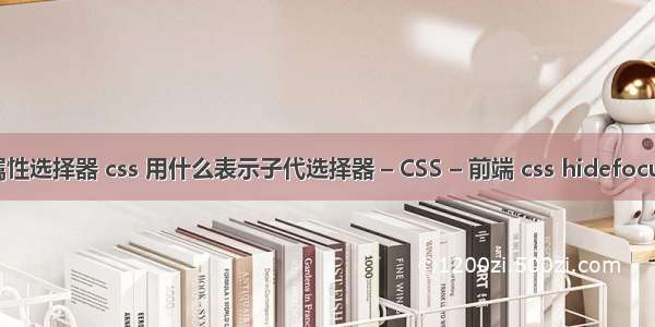 属性选择器 css 用什么表示子代选择器 – CSS – 前端 css hidefocus