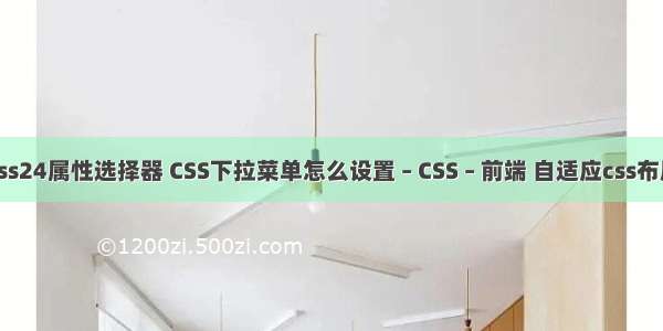 css24属性选择器 CSS下拉菜单怎么设置 – CSS – 前端 自适应css布局