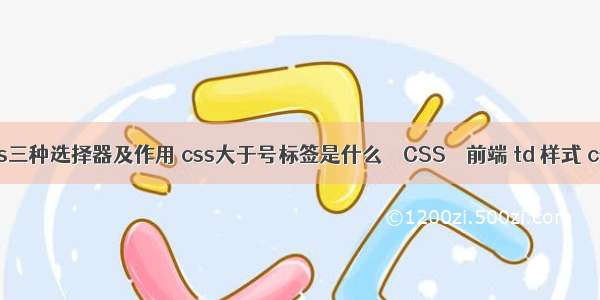 css三种选择器及作用 css大于号标签是什么 – CSS – 前端 td 样式 css