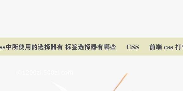 css中所使用的选择器有 标签选择器有哪些 – CSS – 前端 css 打包