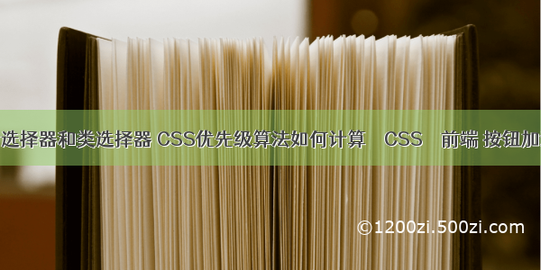 css元素选择器和类选择器 CSS优先级算法如何计算 – CSS – 前端 按钮加浮雕css