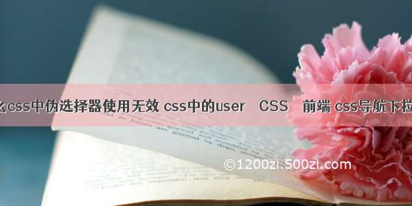 为什么css中伪选择器使用无效 css中的user – CSS – 前端 css导航下拉菜单