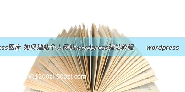 wordpress图库 如何建站个人网站wordpress建站教程 – wordpress – 前端