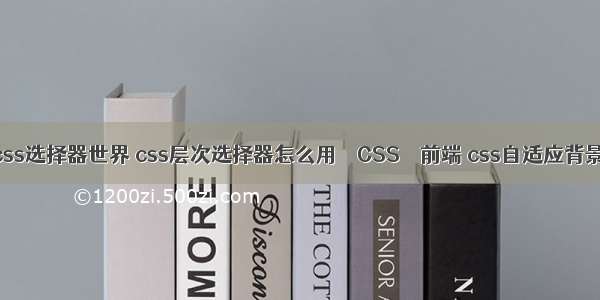 css选择器世界 css层次选择器怎么用 – CSS – 前端 css自适应背景
