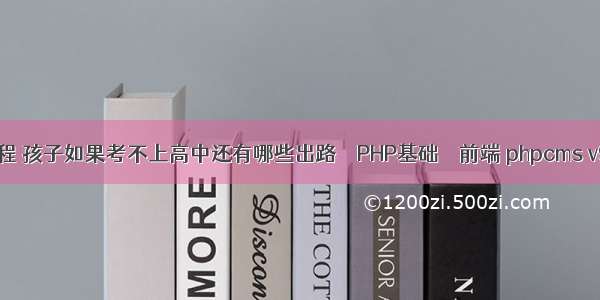 php电子教程 孩子如果考不上高中还有哪些出路 – PHP基础 – 前端 phpcms v9 下拉菜单