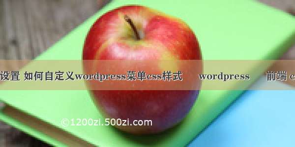 wordpress菜单设置 如何自定义wordpress菜单css样式 – wordpress – 前端 css修改title样式