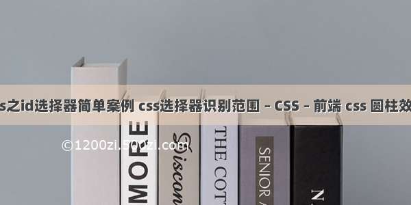 css之id选择器简单案例 css选择器识别范围 – CSS – 前端 css 圆柱效果
