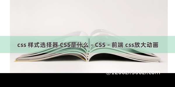 css 样式选择器 CSS是什么 – CSS – 前端 css放大动画