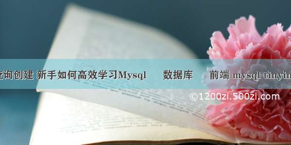 mysql 查询创建 新手如何高效学习Mysql – 数据库 – 前端 mysql tinyint 默认值