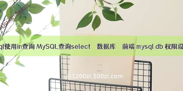 mysql使用in查询 MySQL查询select – 数据库 – 前端 mysql db 权限设置