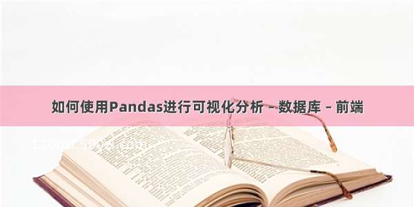 如何使用Pandas进行可视化分析 – 数据库 – 前端