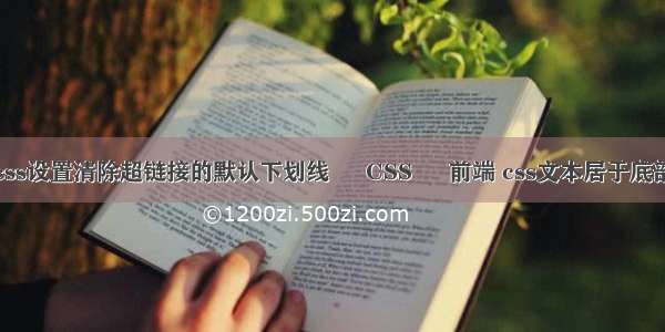 css设置清除超链接的默认下划线 – CSS – 前端 css文本居于底部