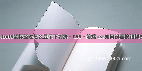 html5鼠标经过怎么显示下划线 – CSS – 前端 css如何设置按钮样式