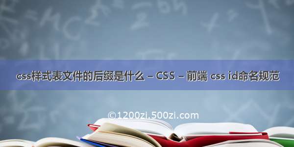 css样式表文件的后缀是什么 – CSS – 前端 css id命名规范