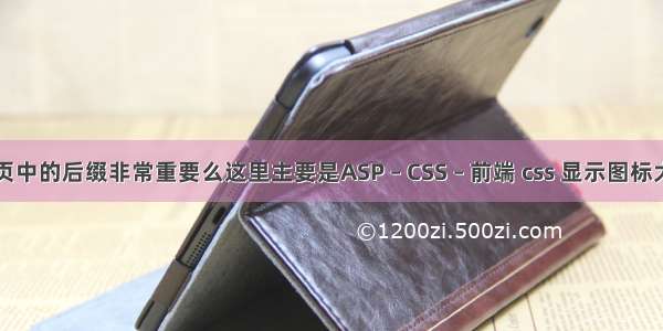 动态网页中的后缀非常重要么这里主要是ASP – CSS – 前端 css 显示图标大小设置