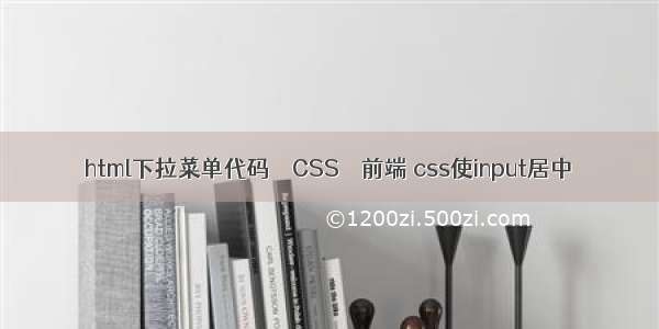 html下拉菜单代码 – CSS – 前端 css使input居中