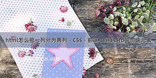 html怎么把一列分为两列 – CSS – 前端 css样式td中加块元素