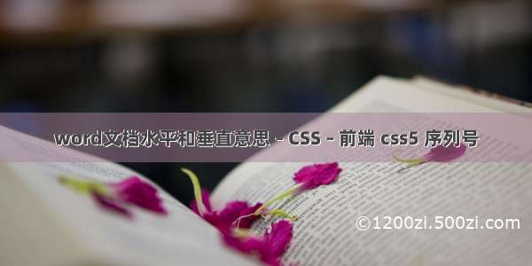 word文档水平和垂直意思 – CSS – 前端 css5 序列号