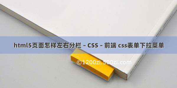 html5页面怎样左右分栏 – CSS – 前端 css表单下拉菜单