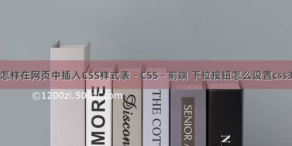 怎样在网页中插入CSS样式表 – CSS – 前端 下拉按钮怎么设置css3
