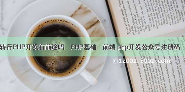 转行PHP开发有前途吗 – PHP基础 – 前端 php开发公众号注册码