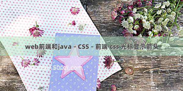 web前端和java – CSS – 前端 css 光标显示箭头