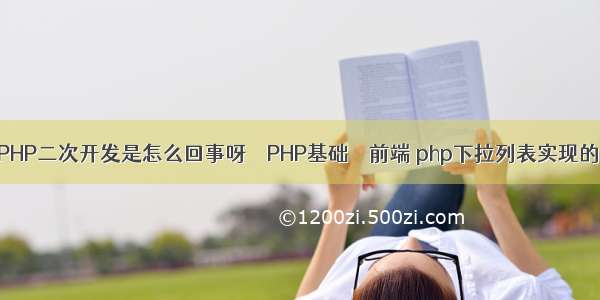 PHP二次开发是怎么回事呀 – PHP基础 – 前端 php下拉列表实现的