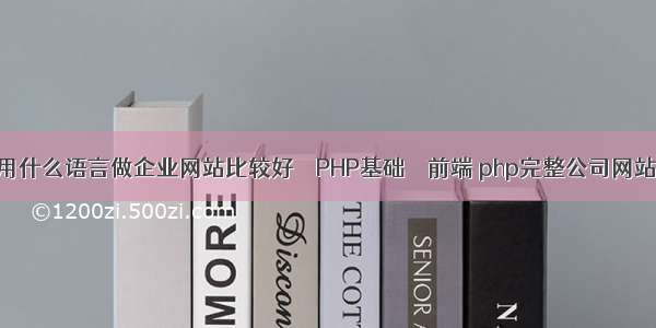 用什么语言做企业网站比较好 – PHP基础 – 前端 php完整公司网站