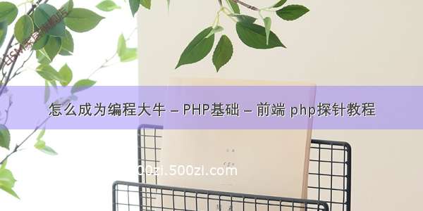 怎么成为编程大牛 – PHP基础 – 前端 php探针教程