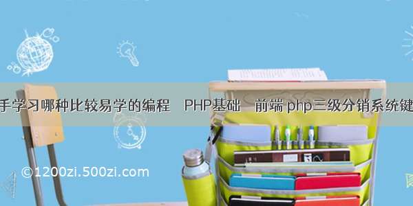 新手学习哪种比较易学的编程 – PHP基础 – 前端 php三级分销系统键表