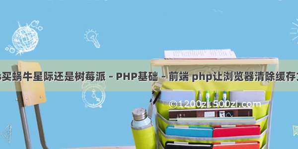 搭nas买蜗牛星际还是树莓派 – PHP基础 – 前端 php让浏览器清除缓存文件夹