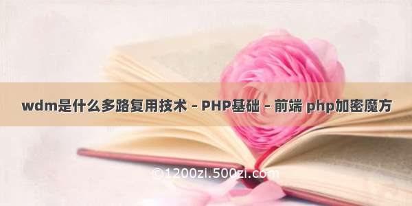 wdm是什么多路复用技术 – PHP基础 – 前端 php加密魔方