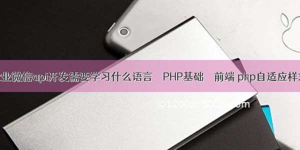 企业微信api开发需要学习什么语言 – PHP基础 – 前端 php自适应样式