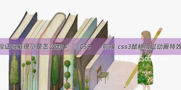 验证码框很小是怎么回事 – CSS – 前端 css3鼠标滑过动画特效